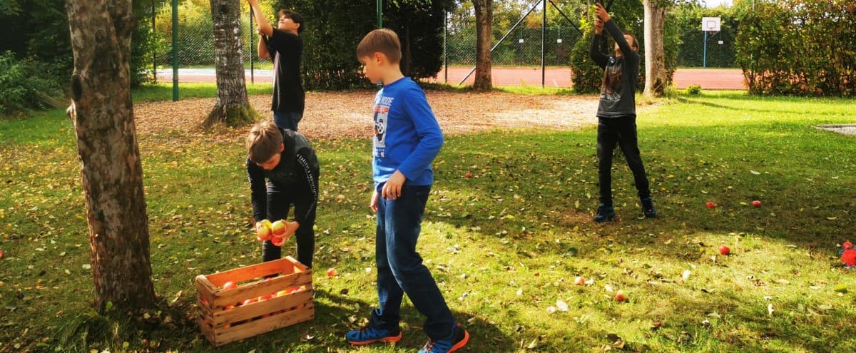 Letzte Ernte im Schulgarten der Realschule Zwiesel