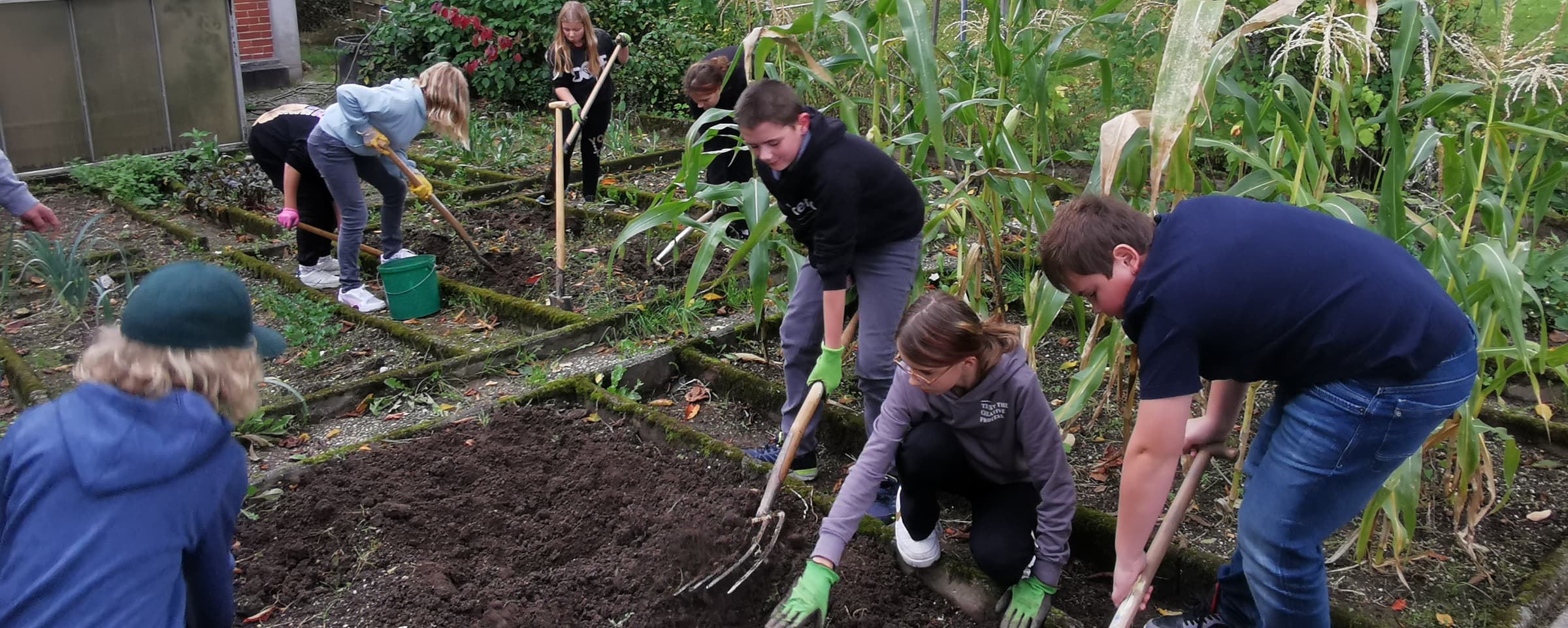 Schüler bei der Arbeit im Schulgarten.