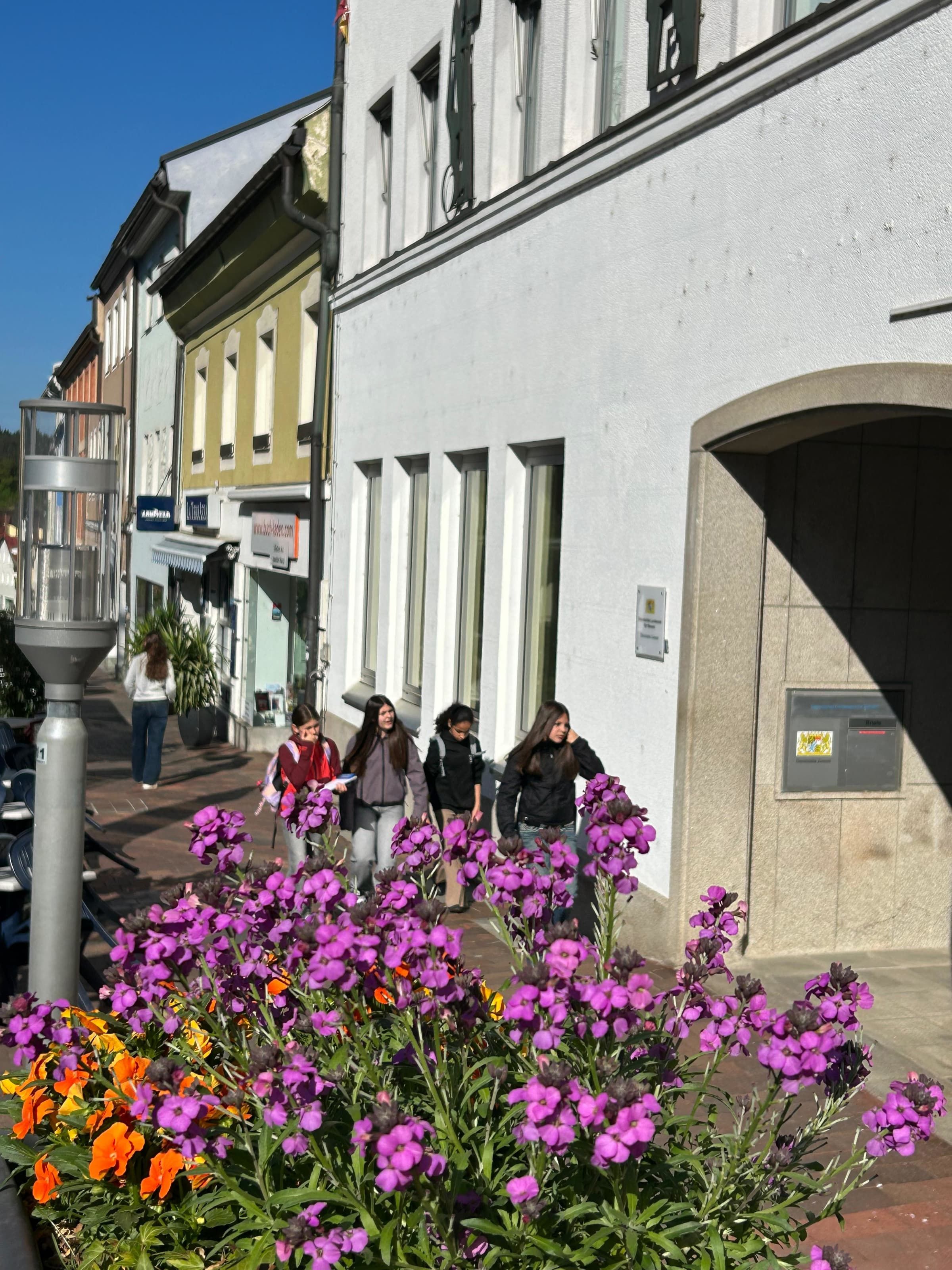 stadtzwiesel5