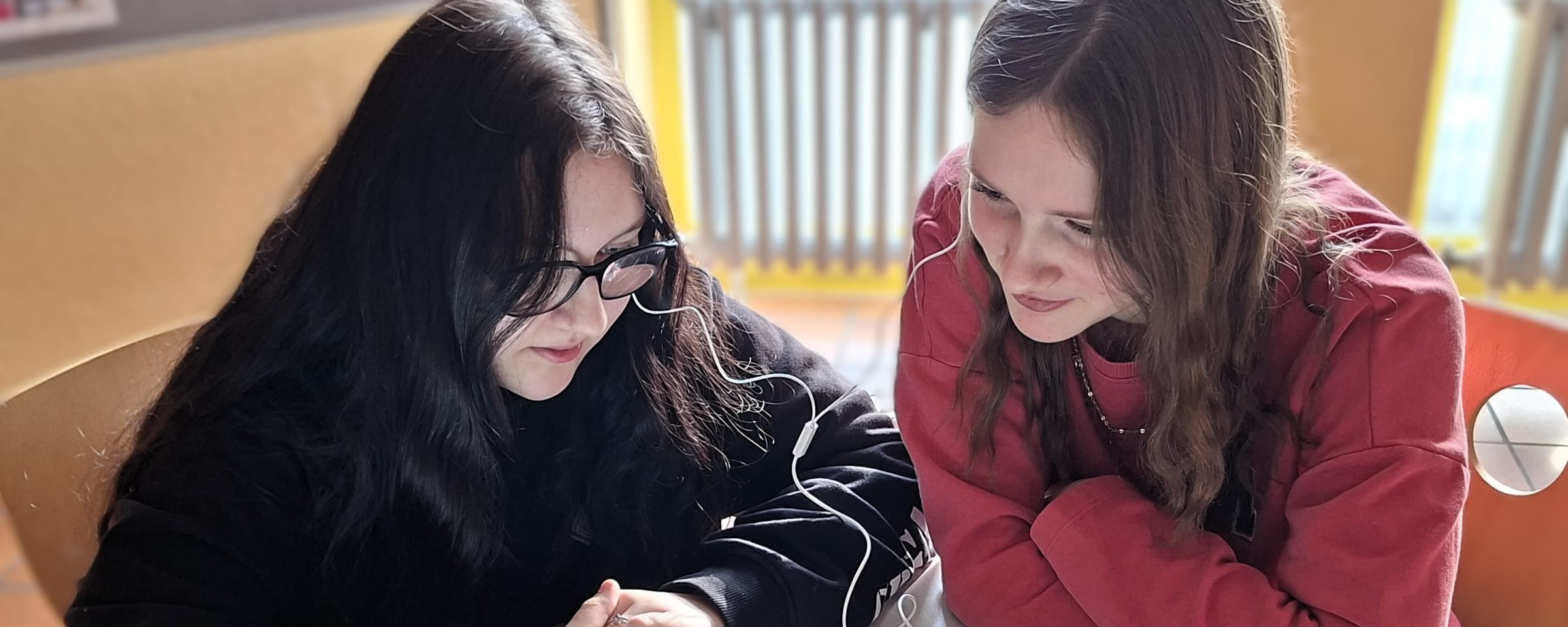 „DEutsch-FRanzösisch für DEmokratie und FReiheit!“