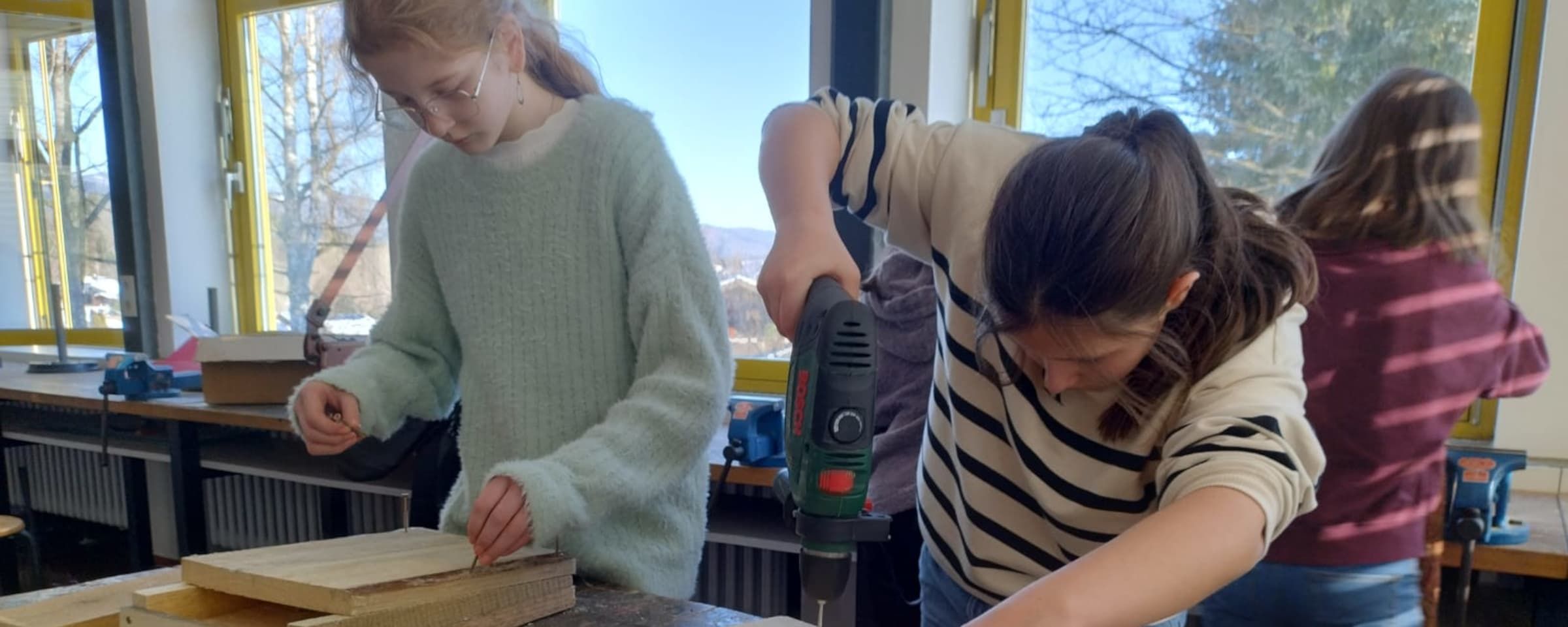 Schulgartengruppe baut Fledermauskästen für den Artenschutz